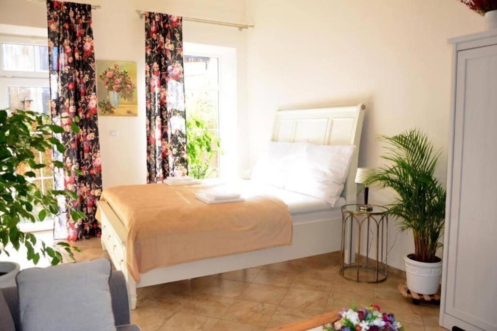Apartment Elizabeth 1 Kösice Dış mekan fotoğraf